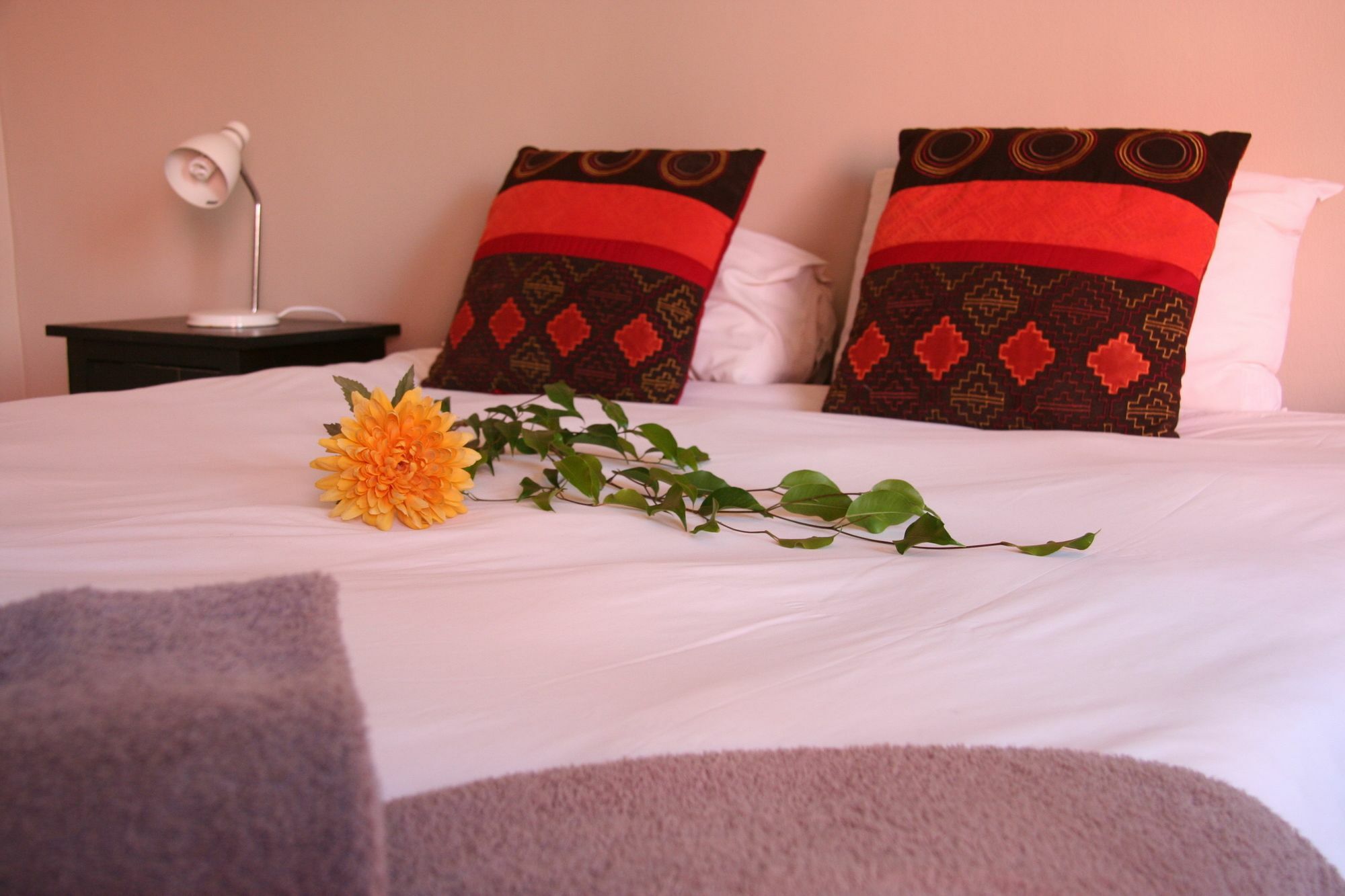 Dunedin Star Guesthouse Swakopmund Exteriér fotografie